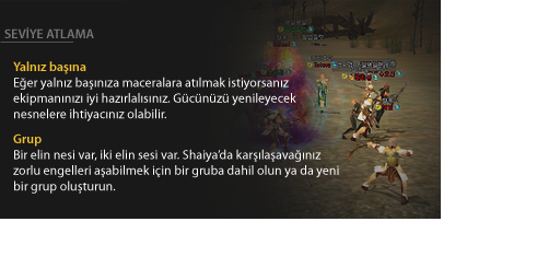 Shaiya seviye atlama yardım ekranı