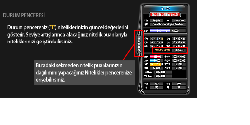 Shaiya stat yardım ekranı
